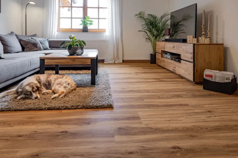 Gemütliches Wohnzimmer mit natürlichem Holzfußboden – graues Sofa, Holztisch mit Pflanzen, dekorativer TV-Bereich und Teppich mit ruhendem Hund schaffen ein wohnliches Ambiente.